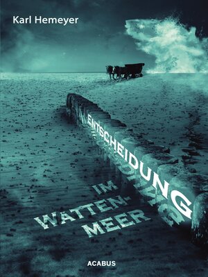 cover image of Entscheidung im Wattenmeer